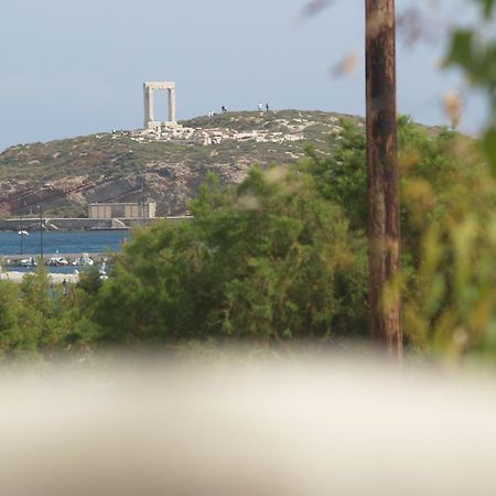 Naxos CityVasiliki'S Houseアパートメント エクステリア 写真