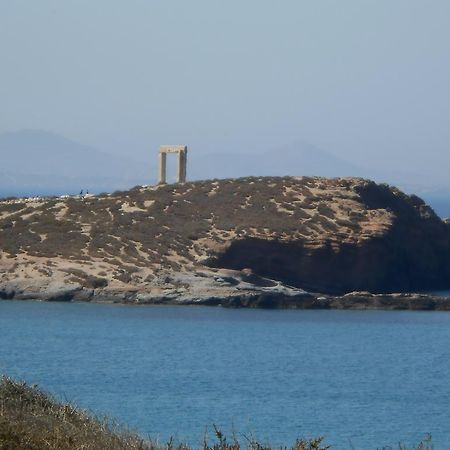 Naxos CityVasiliki'S Houseアパートメント エクステリア 写真